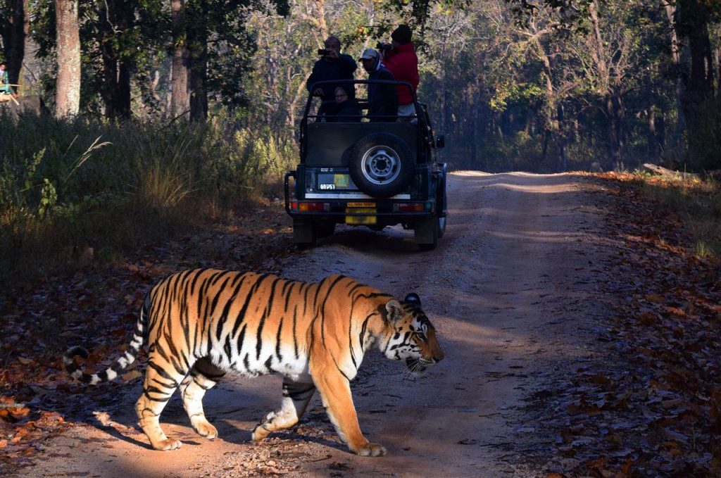Jim Corbett National park